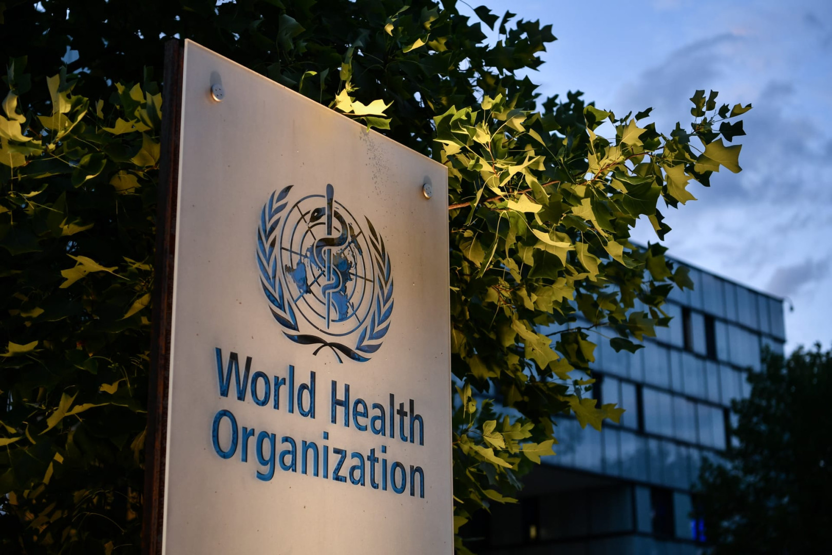 الصحة العالمية تحذر من تفشٍ خطير للكوليرا في أفريقيا