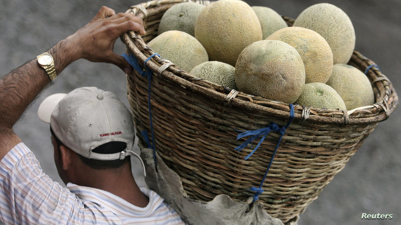 بسبب فاكهة.. السالمونيلا تجتاح الولايات المتحدة وكندا مخلفا 460 حالة وفاة واصابة