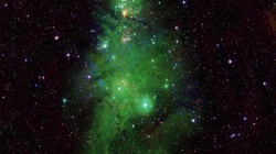مجموعة نجوم شابة تشكل "شجرة عيد الميلاد" في الفضاء