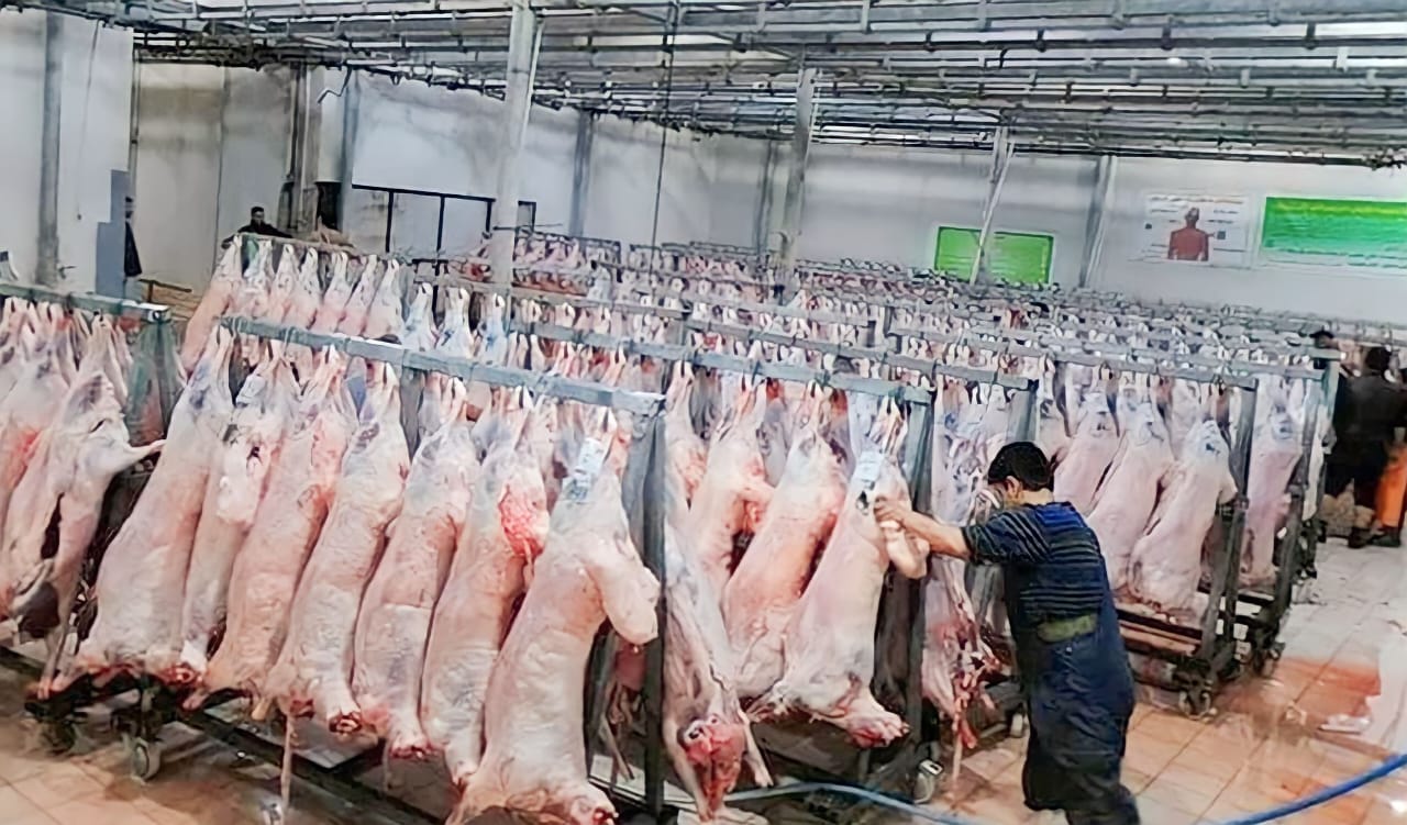 خلال 2023.. أسواق السليمانية أدخلت 17 ألف طن من اللحوم
