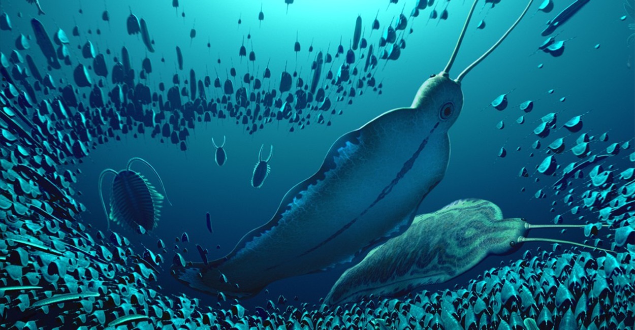 عاشت قبل نصف مليار سنة.. اكتشاف أحفوريات لـ"وحوش إرهابية" في غرينلاند