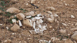 Rain and stray dogs damage five mass graves in Sinjar