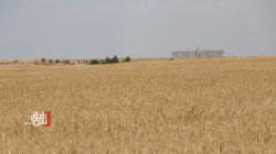 Minister refutes US ambassador's remarks on Iraq's need to import wheat