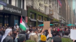 US cities call for Israel-Gaza ceasefire
