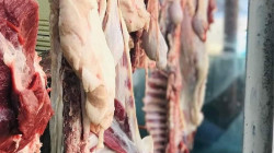 Iraqis grapple with soaring meat prices amid smuggling, drought & enforcement absence