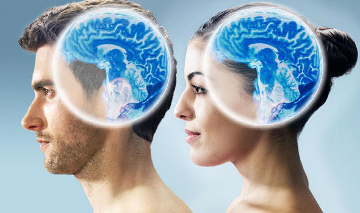 باحثون: الذكاء الاصطناعي يُميز اختلافات الدماغ بين النساء والرجال