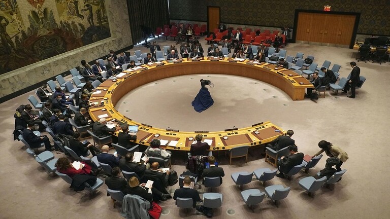 UN Security Council fails to establish 'immediate ceasefire' in Gaza