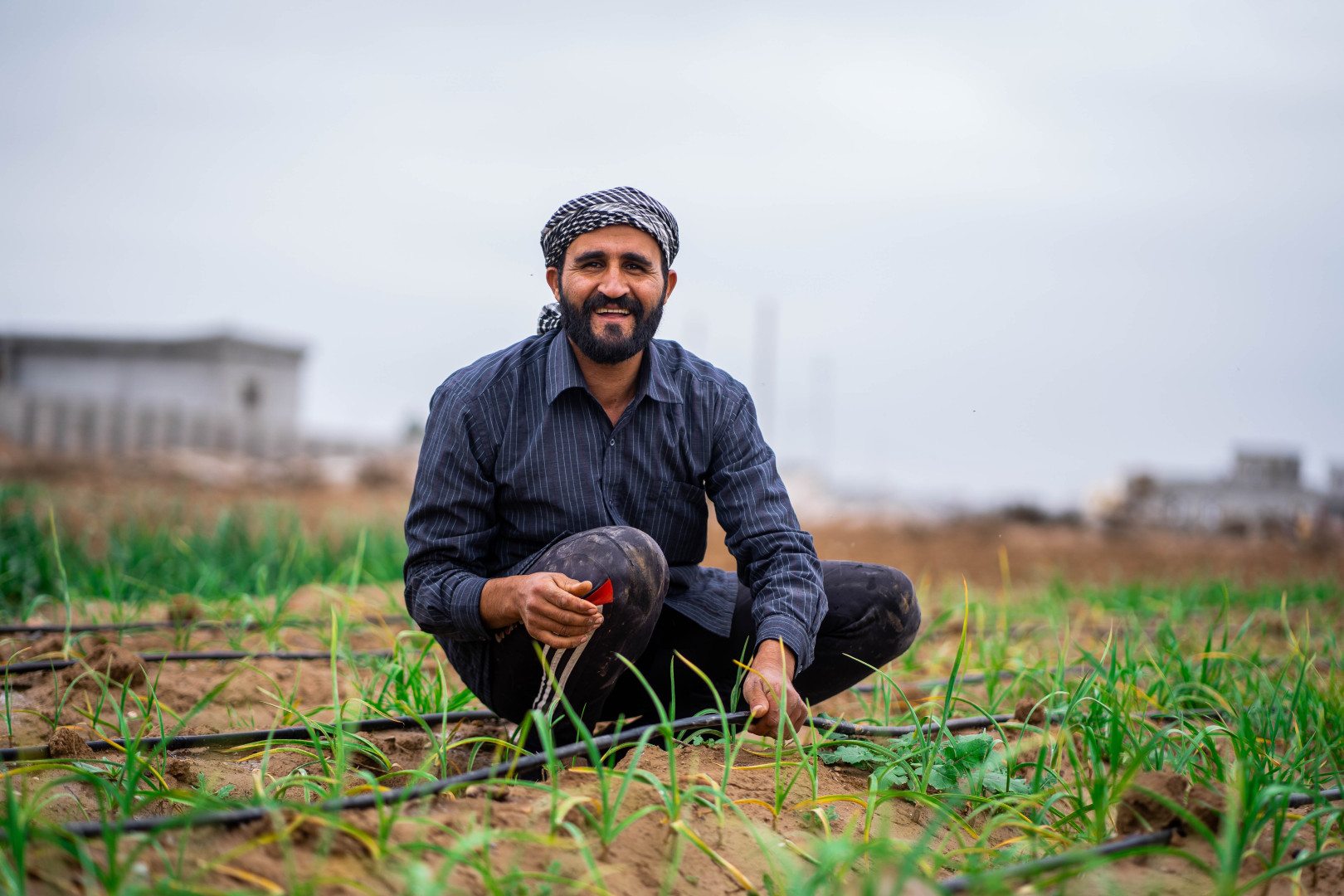 Iraqi farmers embrace hydroponics to enhance agricultural sustainability
