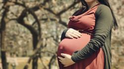 Conceiving Hope: navigating the religious, legal, and emotional landscape of egg donation in Iraq