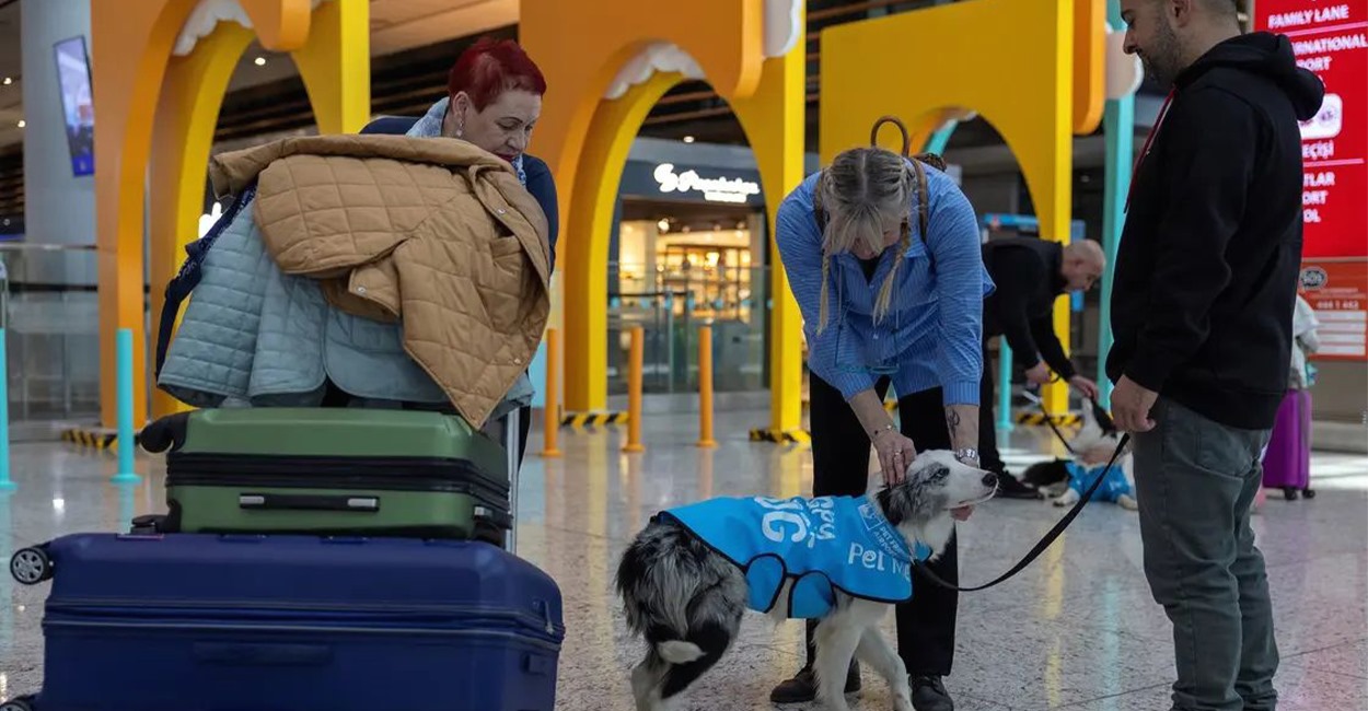 Istanbul Airport offers "bizarre" service to reduce passenger stress