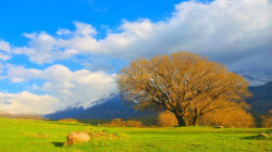 پەی کی پەشێوهاڵ° خاتر تەنگەنی