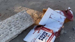 Dozens killed by Israeli fire while waiting aid in Gaza
