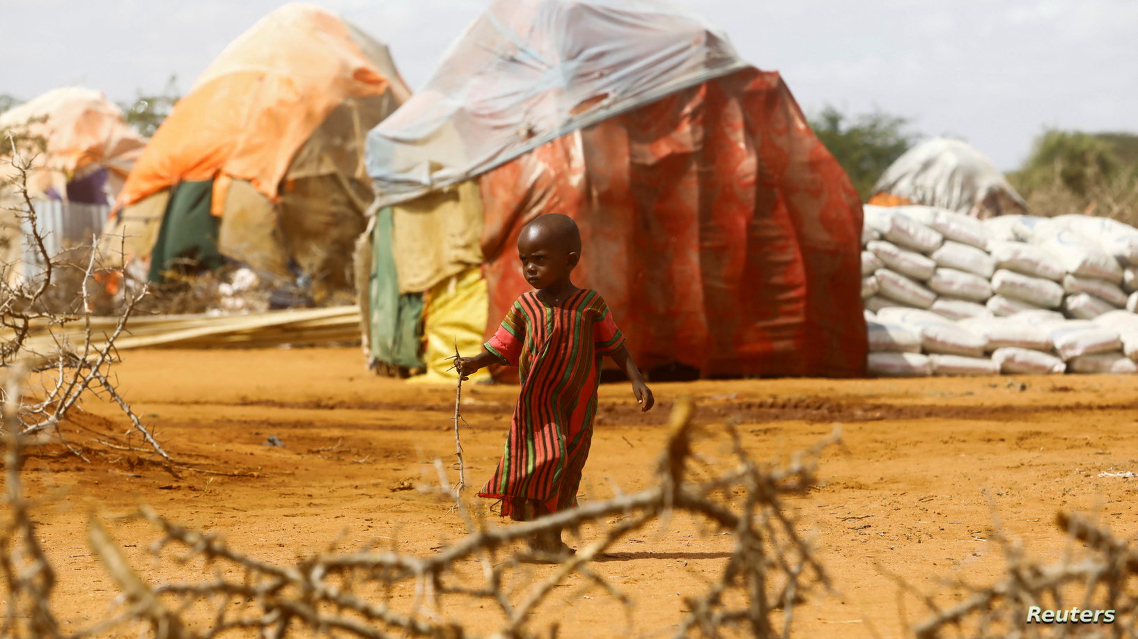 AP: extreme drought in southern Africa leaves millions hungry