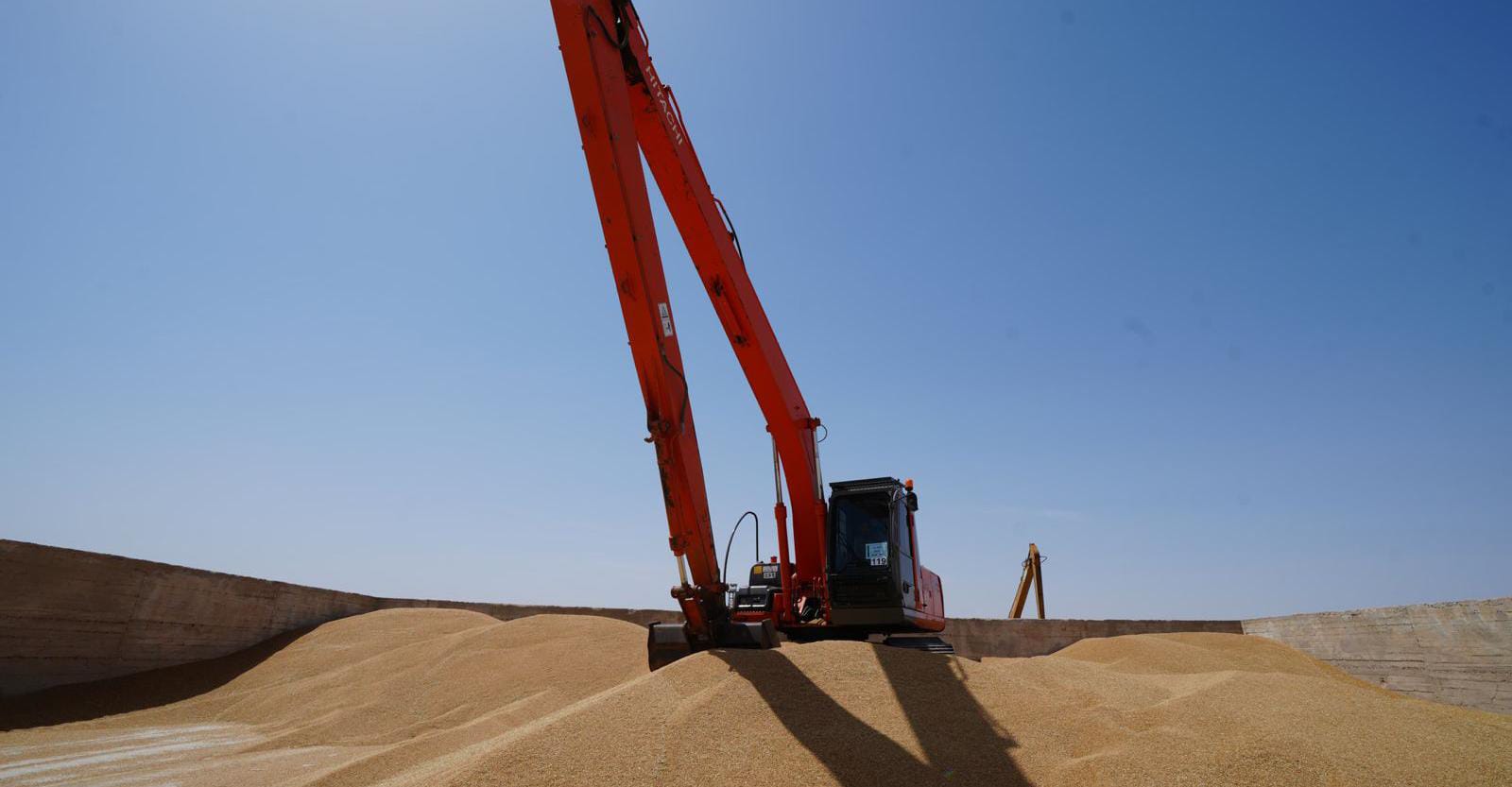 العراق: الوصول لحاجز 7 ملايين طن من إنتاج القمح خلال الموسم الحالي
