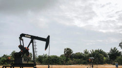 Oil extends fall on signs of weak fuel demand