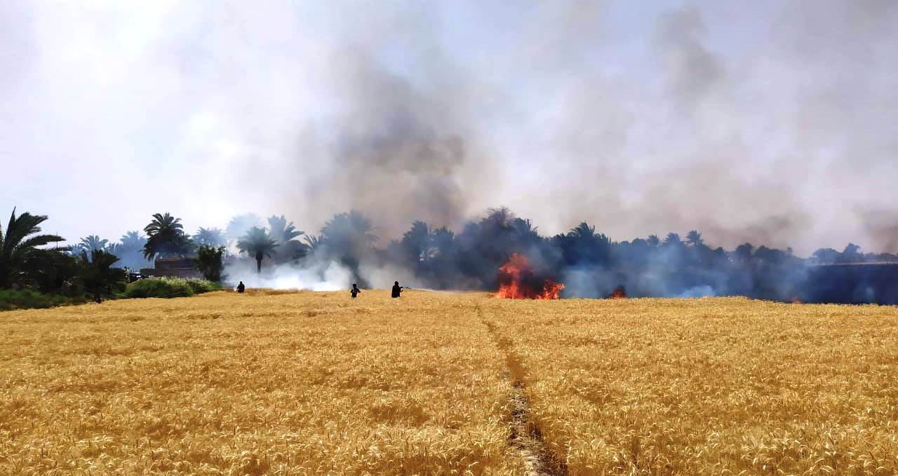 اندلاع حريق بمزرعة للحنطة في كركوك