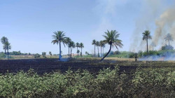 باخيگ ترەک لە خانەقین سزیا