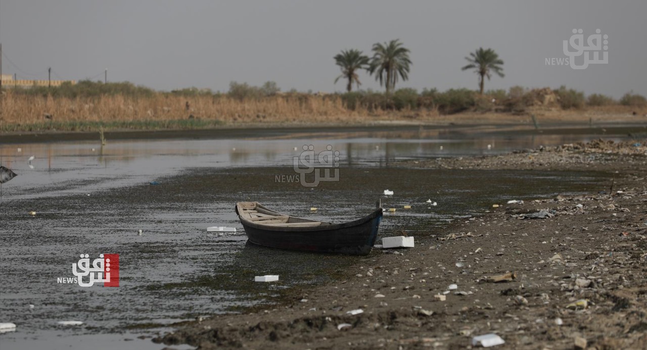 Iraq faces severe environmental challenges amid World Environment Day celebrations