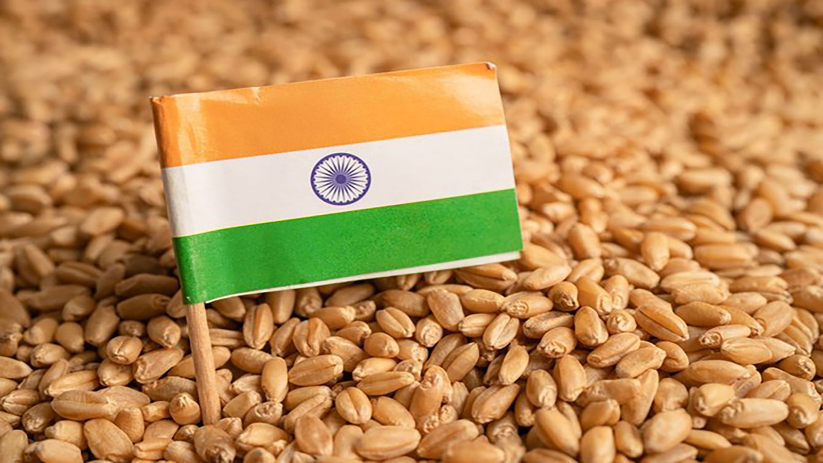 Indias exports to Iraq surge  in FY driven by rice meat and Iron