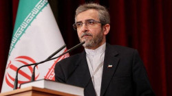 Iran, Iraq "pillars" of regional security, says Iranian FM: calls for Islamic action to stop Gaza war