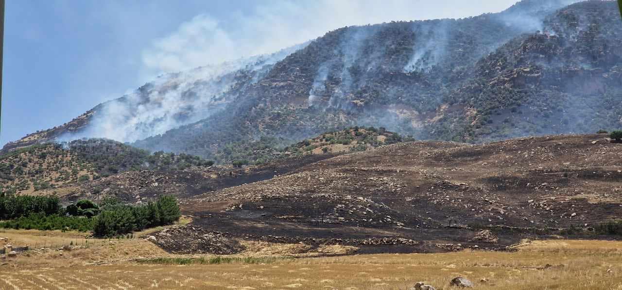 احتراق وتلف 60 ألف شجرة طبيعية بحريق في السليمانية (صور)