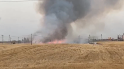 حريق بمزرعة للحنطة في كركوك (فيديو)