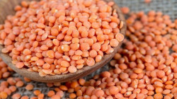العدس الأحمر التركي الأكثر تصديرا  الى العراق ودول اخرى