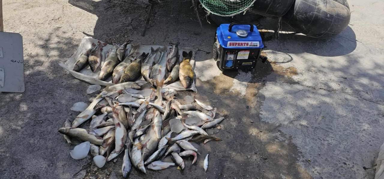 ضبط متهمين يصطادون السمك بالكهرباء في كرميان