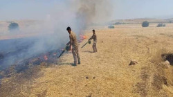 +9,400 acres burnt in al-Sulaimaniyah in past six months