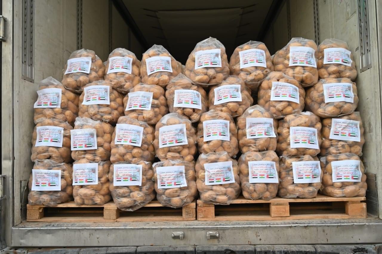 حكومة إقليم كوردستان تتوقع ان يصل انتاج البطاطس إلى مليون طن هذا العام