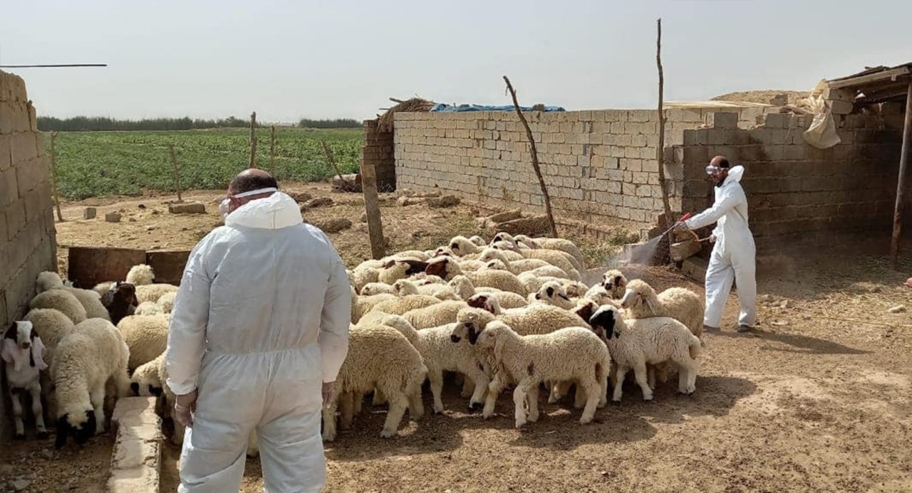 بیماریگ گومانلێکریاگ وە تو خوین وەربوین لە نەینەوا توومارکریا