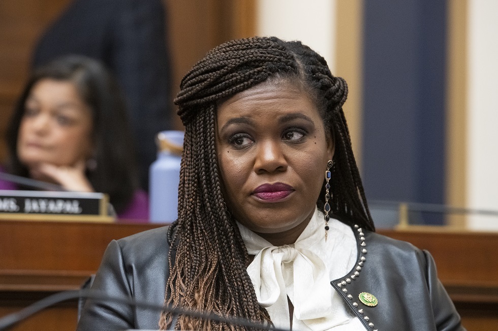 US Congresswoman loses Congress seat after opposing Netanyahu