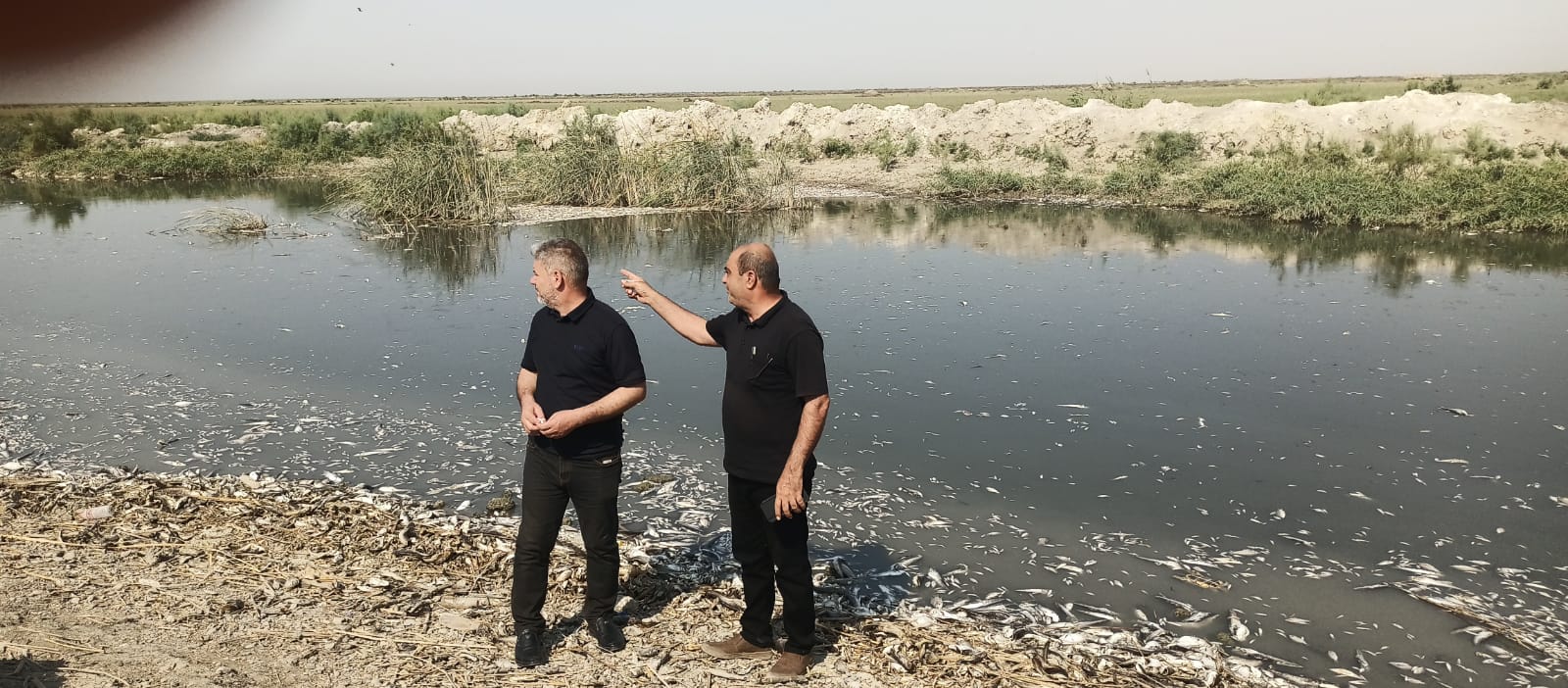 Hawizeh Marsh faces catastrophic fish die-off as water levels plummet, forcing locals to flee