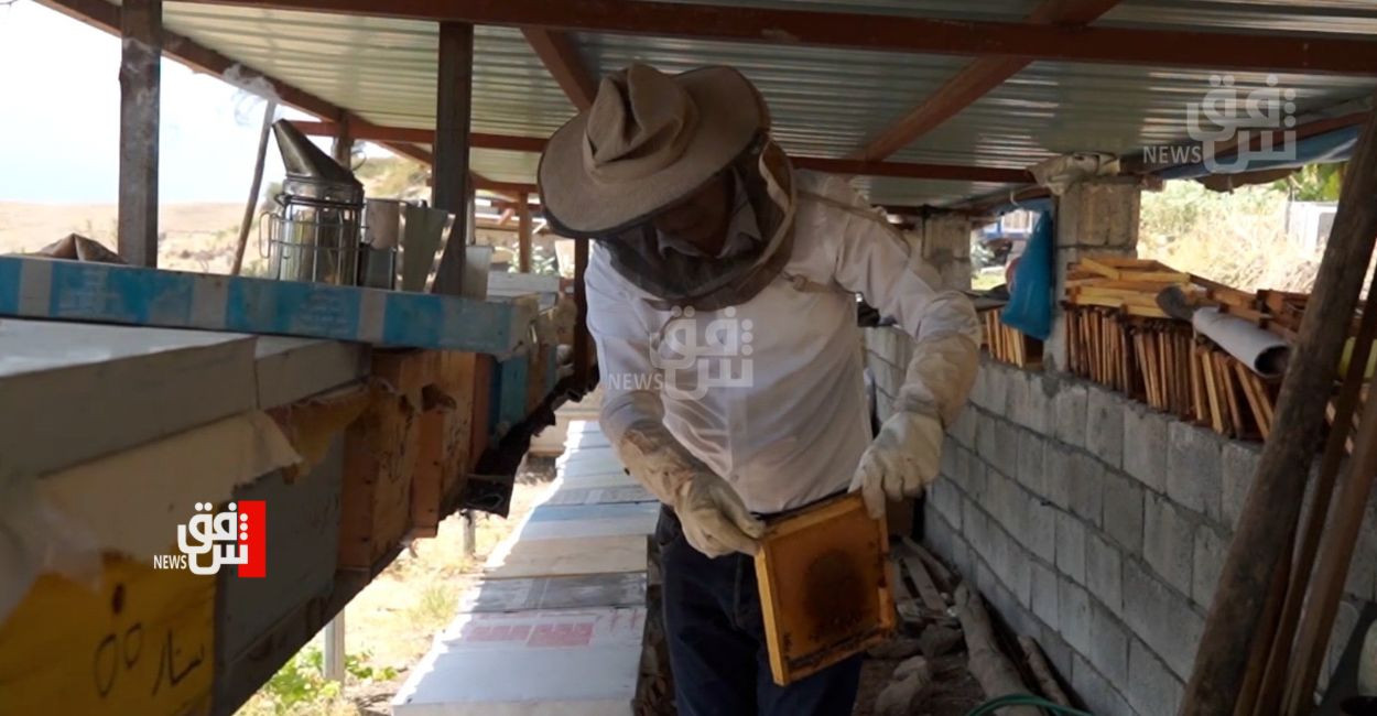 Honey production in Duhok's Al-Amadiyah plummets amid PKK, Ankara conflict