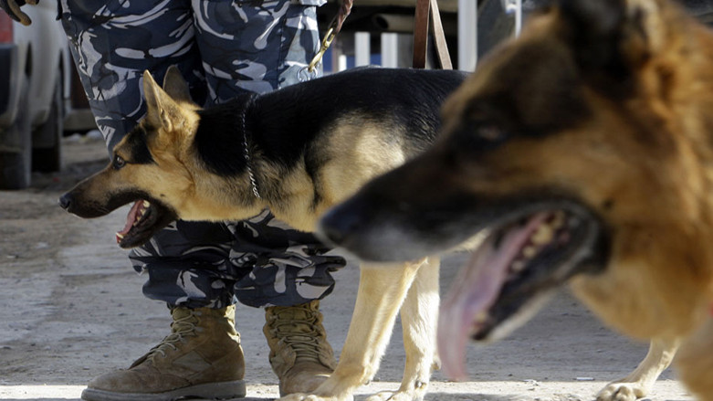 Drug smuggling foiled, 76,000 illegal medicine boxes seized in Diyala