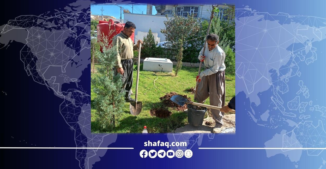 Al-Sulaimaniyah launches new tree planting campaign to expand green spaces