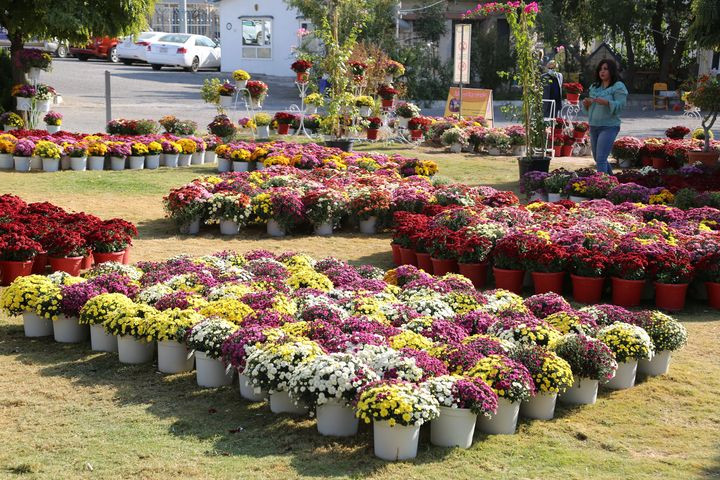 Al-Sulaymaniyah leads Iraq and Kurdistan Region in green spaces, hosting over 500 parks