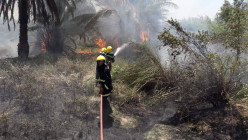 ئاگر گەپیگ باخیگ لە دەوروگەرد خاڵس لە دیالە سزنێد