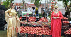 حلبجة.. مهرجان الرمان يجذب 300 ألف زائر ويحقق إيرادات مليارية (صور)