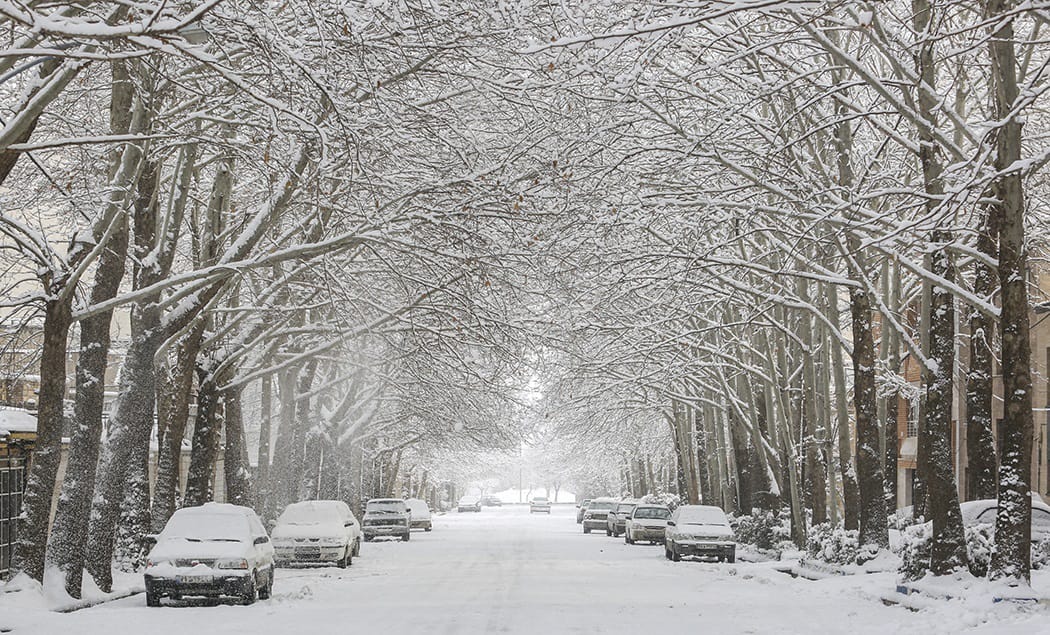 کەشناسی هەرێم: هاتێ سوو وەفر بوارێد