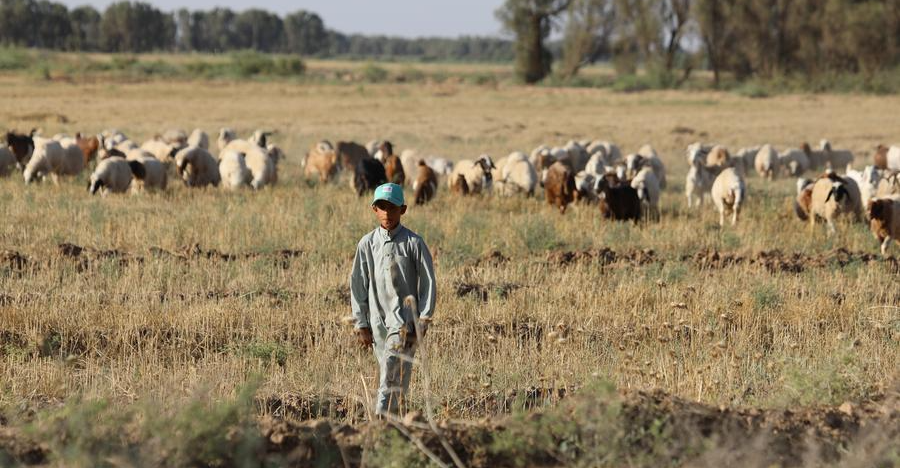 مقتل طفلين بانفجار لغم عنقودي من مخلفات داعش بصلاح الدين