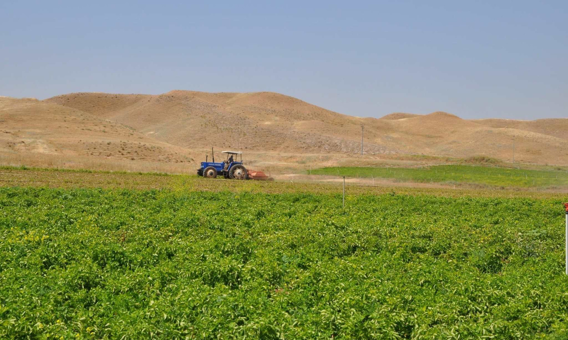 ما حقيقة اعتقال مزارعين كورد في كركوك؟ .. مسؤول يجيب