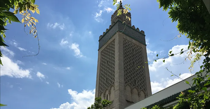 الصالح نيوز : 
                        المسجد الكبير في باريس يعتمد دعاء خاصا لفرنسا
                    