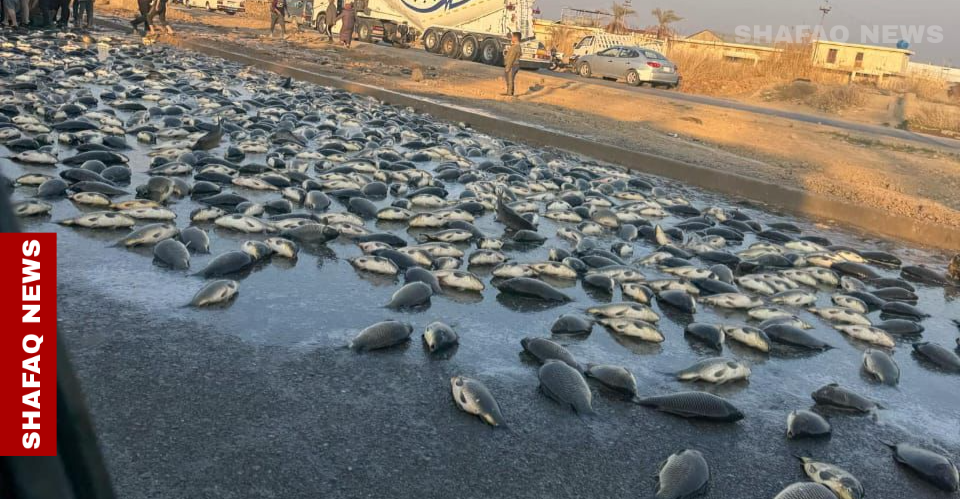 "الأسماك" تقطع طريقاً حيوياً يربط بغداد بإقليم كوردستان (صور)