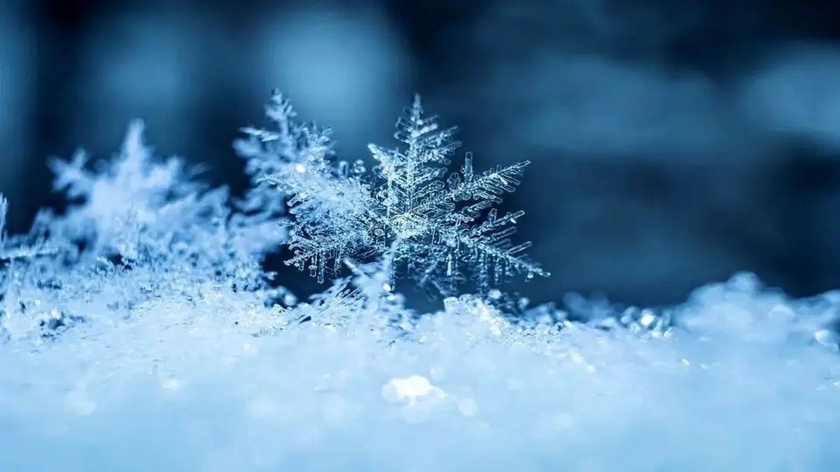 شەپۆلیگ وەفر وارین روی لە هەرێم کوردستان کەێد