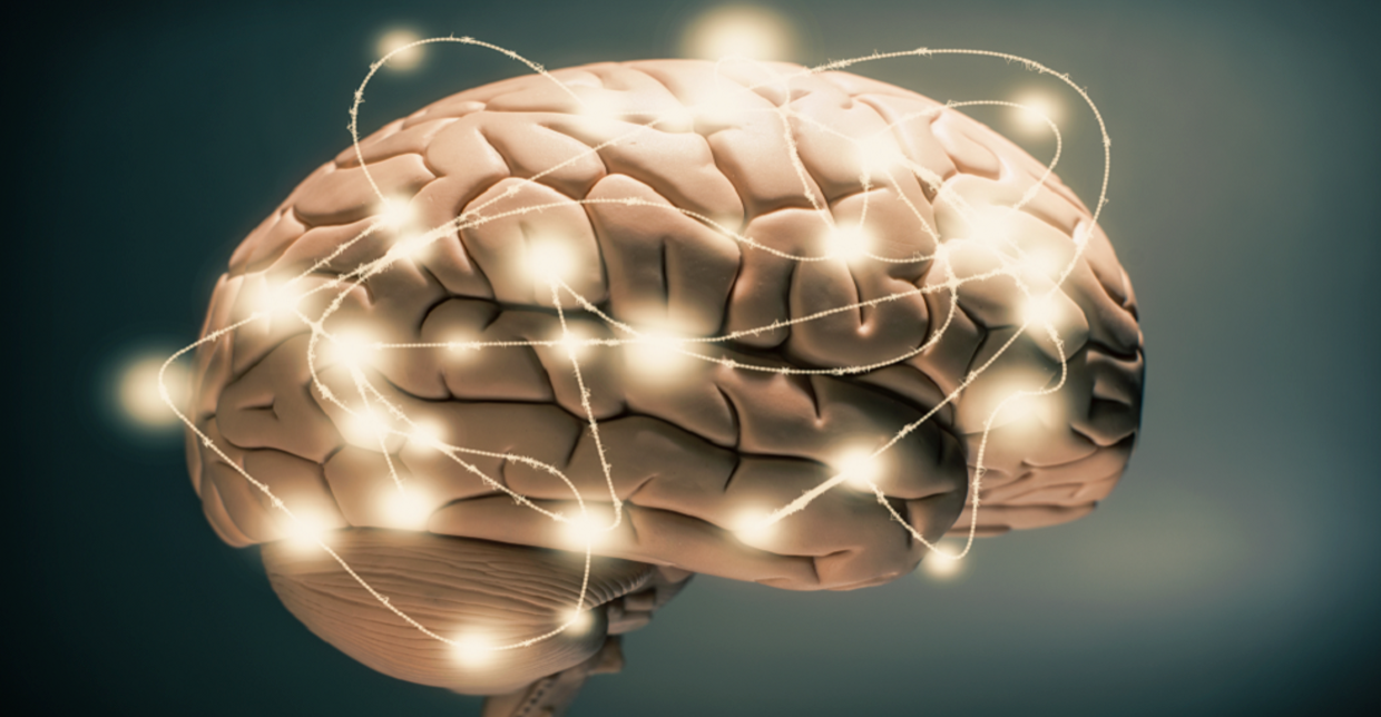 باحثون يطورون نموذجاً يتنبأ بـ"المفاجأة" في دماغ الإنسان