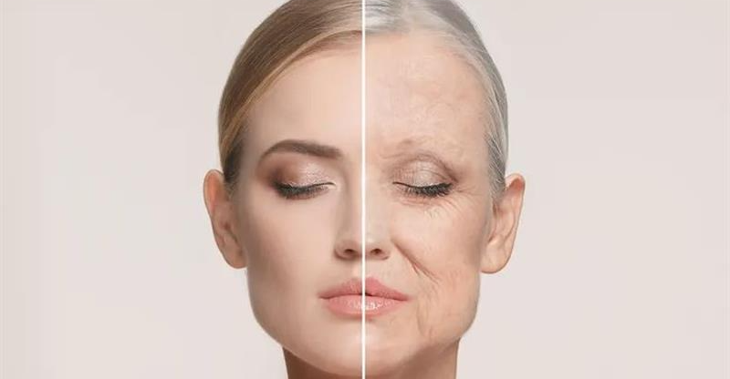 نظامك الغذائي قد يحدد سرعة شيخوختك