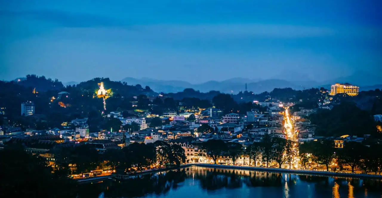 قرد يتسبب بانقطاع "التيار الكهربائي" عن دولة بالكامل