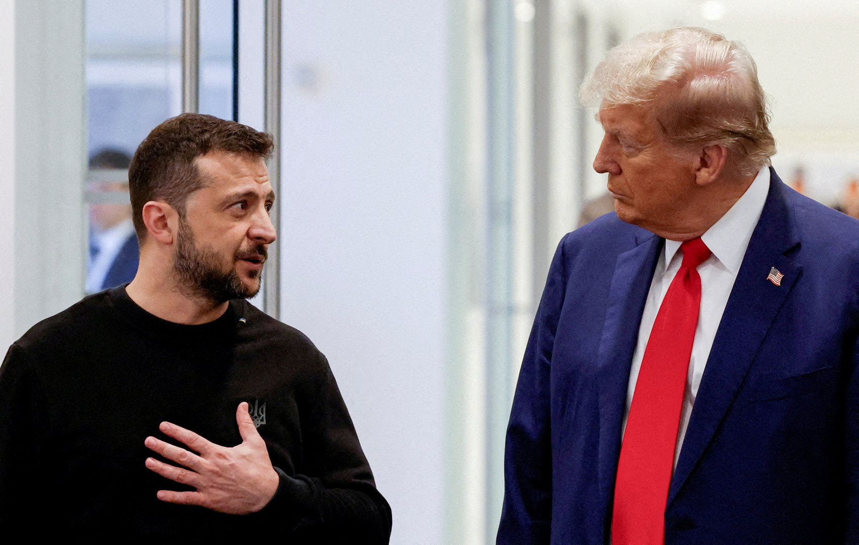 Trump insiders advise Zelensky to leave Ukraine immediately