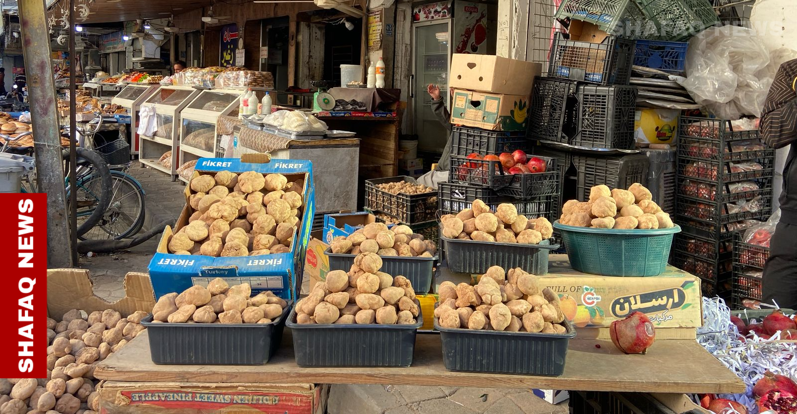 انخفاض أسعار الكمأ في الأنبار.. "المحرگ" الأكثر طلباً لسهولة تنظيفه (صور)